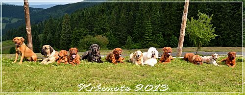 Krkonoše 2013