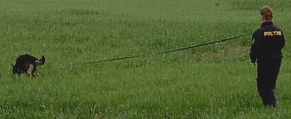 Cenu pro nejlep��ho stopa�e z�skali pprap. Ka�p�rek a Indo s PS