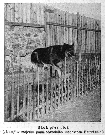 Skok p�es plot
