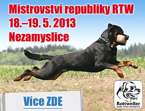 Mistrovství republiky RTW