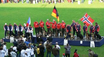 Obr�zky, kter� se neomrz�...