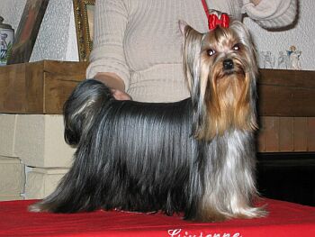 It Is Love �lut� �eka